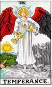 card-21