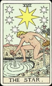 card-6