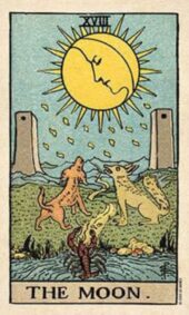 card-7